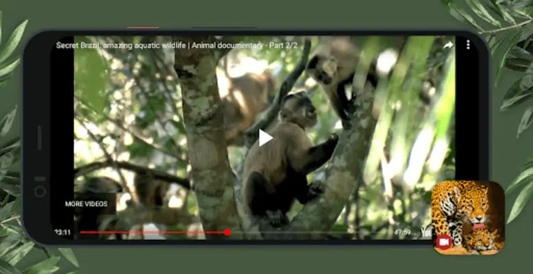 Wild Animals Documentary android App screenshot 0