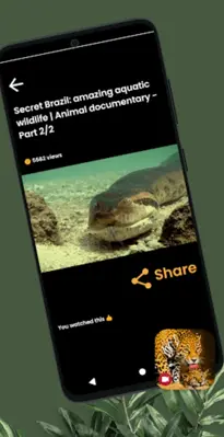 Wild Animals Documentary android App screenshot 1