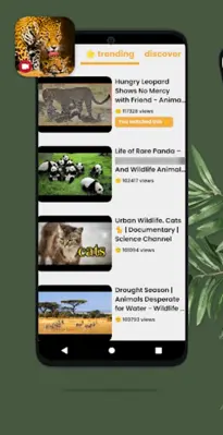 Wild Animals Documentary android App screenshot 2