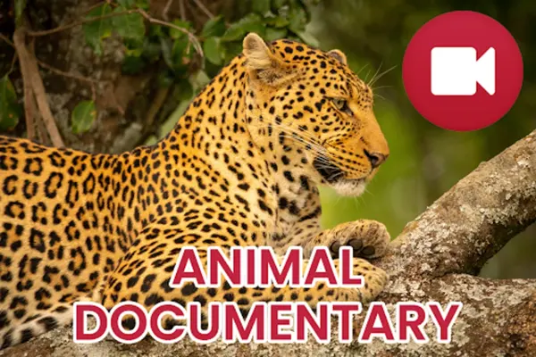 Wild Animals Documentary android App screenshot 5